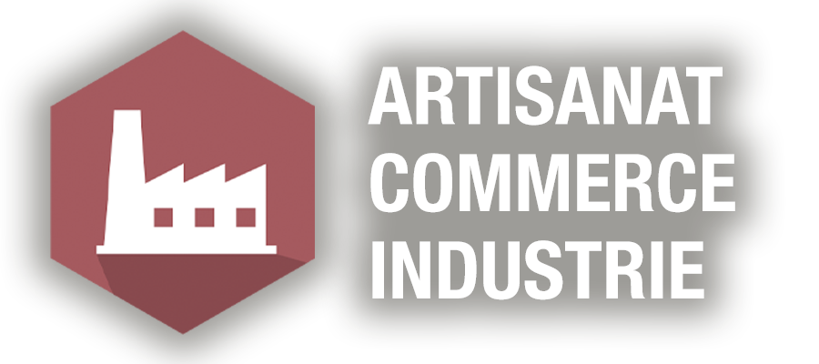 Propositions : Artisanat Commerce Industrie